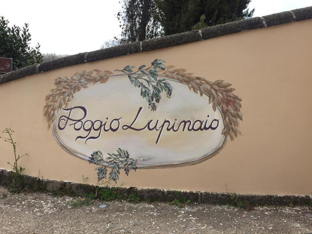 Podere Poggio Lupinaio San Martino sul Fiora Εξωτερικό φωτογραφία