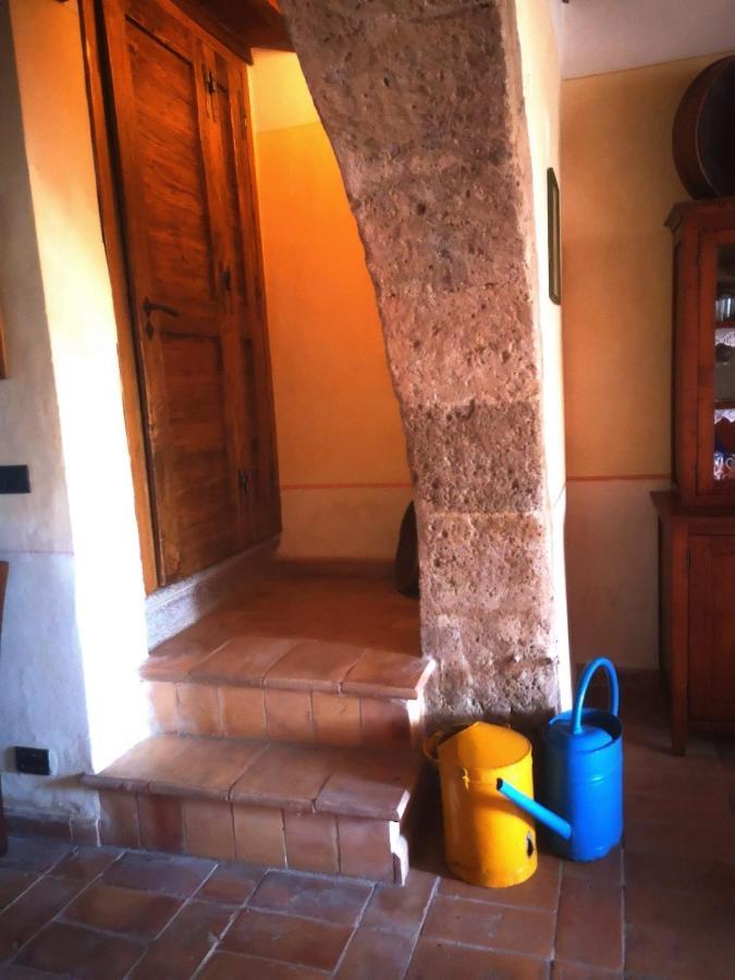 Podere Poggio Lupinaio San Martino sul Fiora Εξωτερικό φωτογραφία